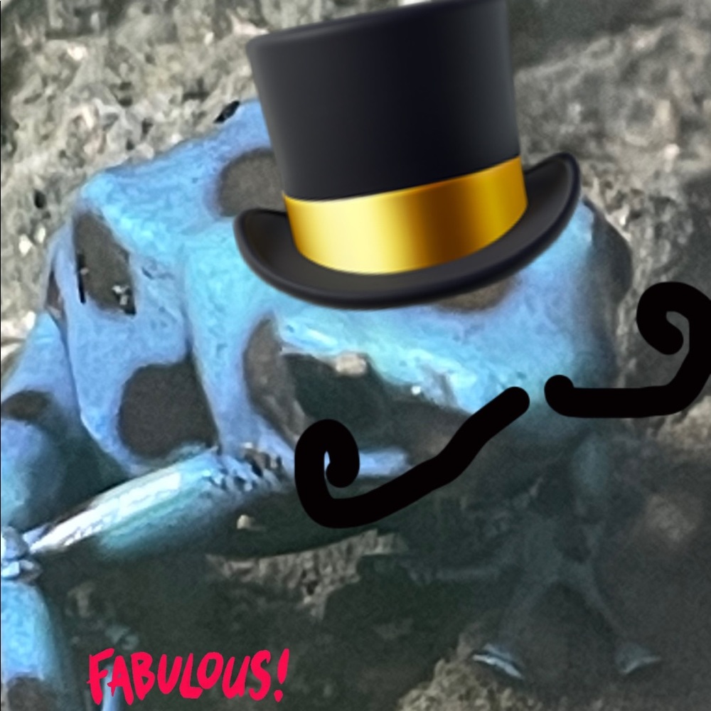 Meet your Posher, Carlos